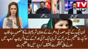 Important Orders Given To PMLN Workers To Create Disturbance In Dharna – Rana Azeem Reveals Whatsapp Group Details